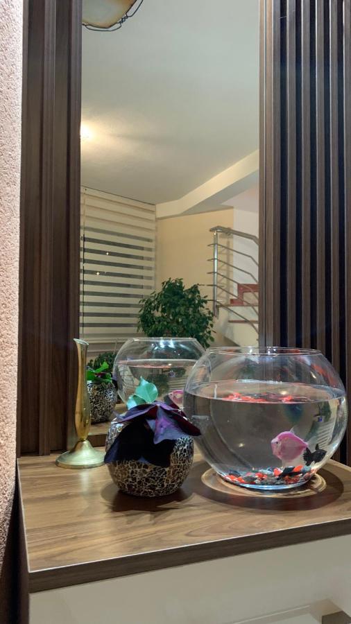 Guest House Nuhii Улцин Екстериор снимка